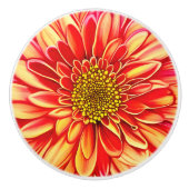 Oranje en goudgele asterbloem keramische knop (Voorkant)