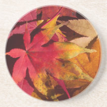 Oranje en goudvormige fallbladeren in het najaar