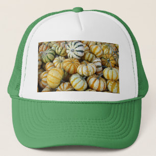 Oranje en groene herfst Harvest Gourds Trucker Pet