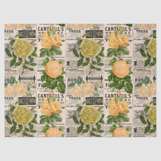 Oranje en levende Rozen op krantenpapier Tissuepapier (Voorkant)