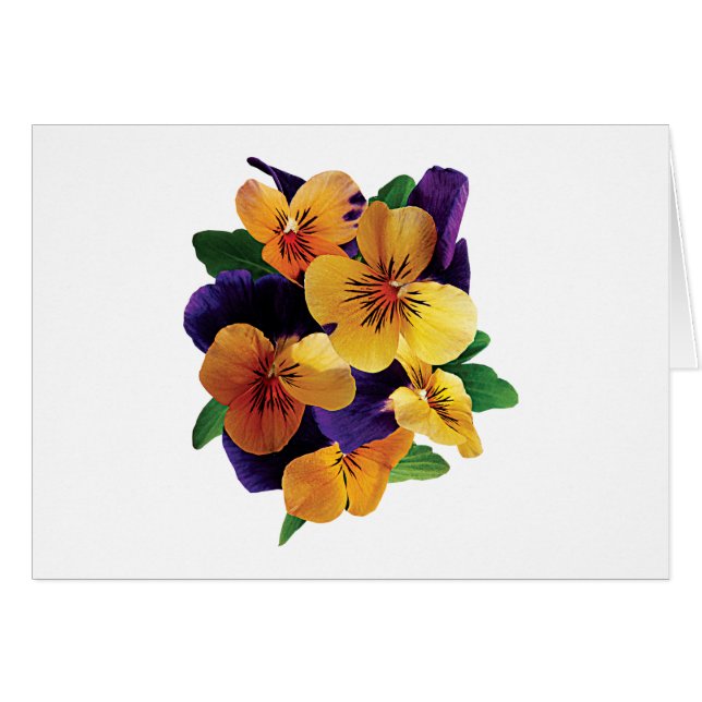 Oranje en Paarse Pansies (Voorkant Horizontaal)