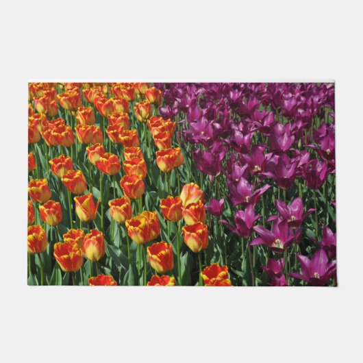 Oranje en paarse tulpen deurmat (Voorkant)