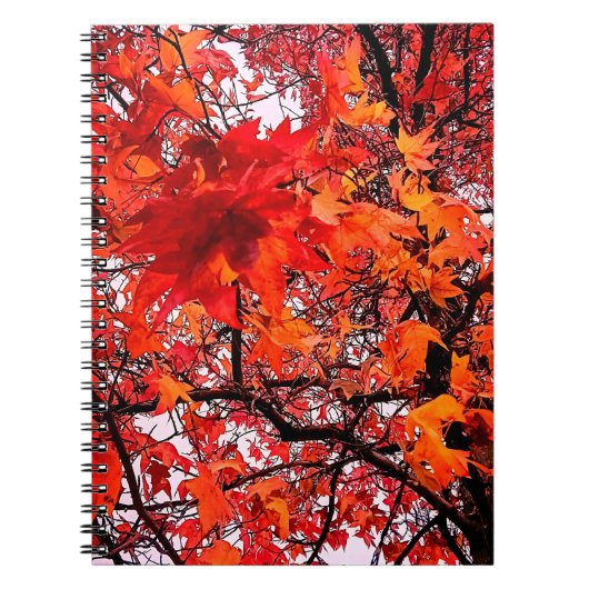 Oranje en rode bladeren notitieboek (Voorkant)