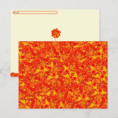 Oranje en rode goudsbloem Briefkaart (Voorkant / Achterkant)