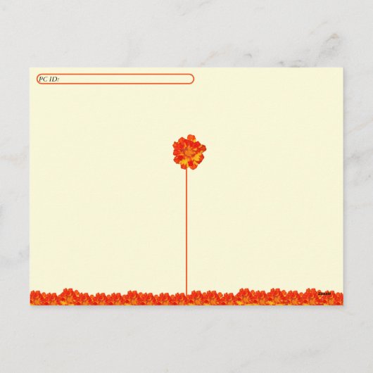 Oranje en rode goudsbloem Briefkaart (Achterkant)
