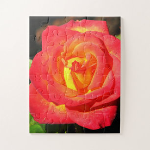 Oranje en rode roze dicht bij elkaar legpuzzel