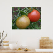 Oranje en rode tomaten afdrukken poster (Keuken)