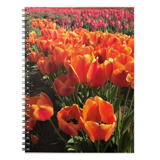 Oranje en rode tulpen notitieboek (Voorkant)
