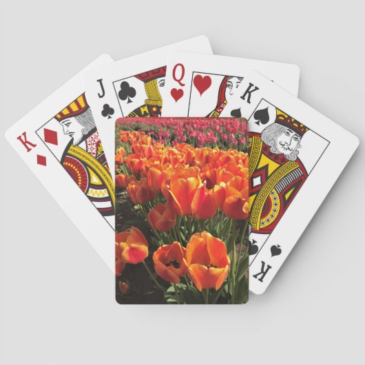 Oranje en rode tulpen pokerkaarten (Achterkant)