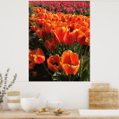Oranje en rode tulpen poster (Keuken)