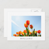 Oranje en rode tulpen van onderaan briefkaart (Voorkant / Achterkant)