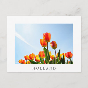 Oranje en rode tulpen van onderaan briefkaart