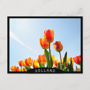 Oranje en rode tulpen van onderaan briefkaart
