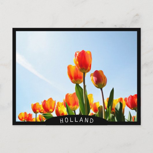 Oranje en rode tulpen van onderaan briefkaart (Voorkant)