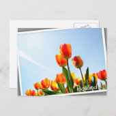 Oranje en rode tulpen van onderaan briefkaart (Voorkant / Achterkant)