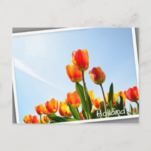 Oranje en rode tulpen van onderaan briefkaart
