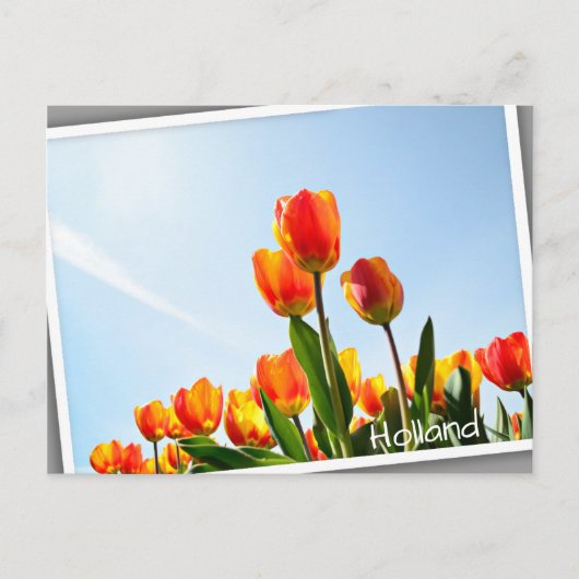 Oranje en rode tulpen van onderaan briefkaart (Voorkant)