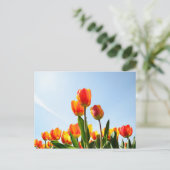 Oranje en rode tulpen van onderaan briefkaart (Staand voorkant)