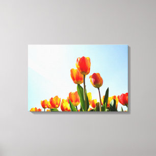 Oranje en rode tulpen van onderaan canvas afdruk