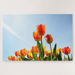 Oranje en rode tulpen van onderaan legpuzzel