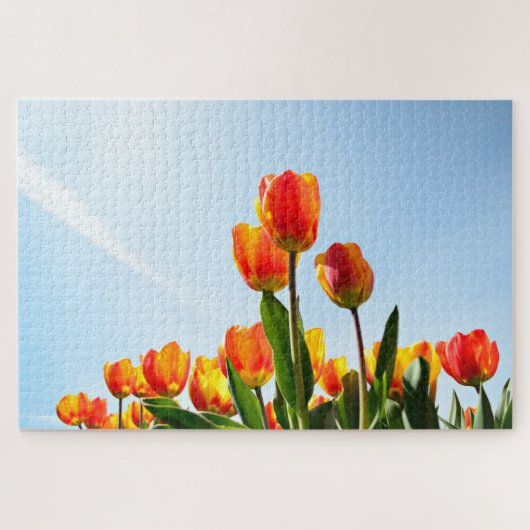 Oranje en rode tulpen van onderaan legpuzzel (Horizontaal)