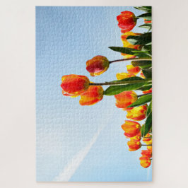 Oranje en rode tulpen van onderaan legpuzzel