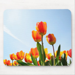 Oranje en rode tulpen van onderaan muismat