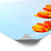 Oranje en rode tulpen van onderaan poster (Hoek)