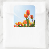 Oranje en rode tulpen van onderaan vierkante sticker (Tas)