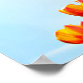 Oranje en rode tulpen van onderaf poster (Hoek)