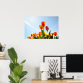 Oranje en rode tulpen van onderaf poster (Thuiskantoor)