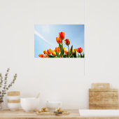 Oranje en rode tulpen van onderaf poster (Keuken)