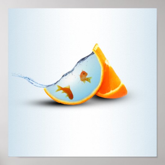 Oranje en rode vis poster (Voorkant)