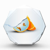 Oranje en rood visfotoblok fotoblokken (Voorkant)
