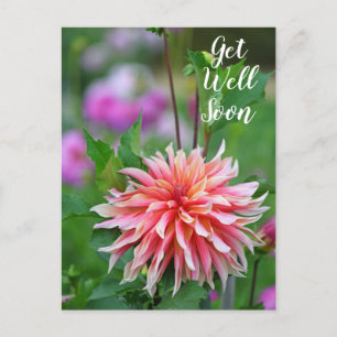 Oranje en Roze Dahlia Bloem Beterschap Briefkaart