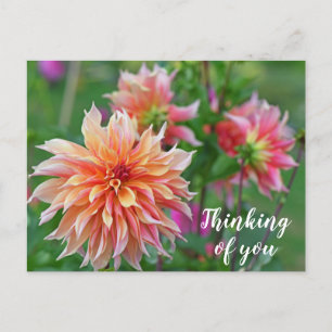 Oranje en Roze Dahlia Bloem Denk aan jou Briefkaart