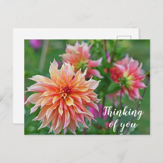 Oranje en Roze Dahlia Bloem Denk aan jou Briefkaart (Voorkant / Achterkant)