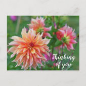 Oranje en Roze Dahlia Bloem Denk aan jou Briefkaart (Voorkant)