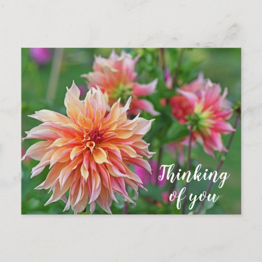 Oranje en Roze Dahlia Bloem Denk aan jou Briefkaart (Voorkant)
