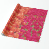 Oranje en roze tulpen cadeaupapier (Uitgerold)