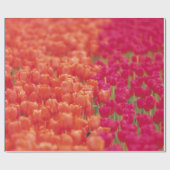 Oranje en roze tulpen cadeaupapier (Vlak)