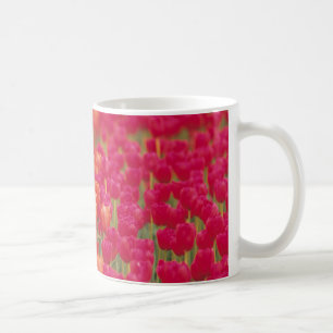 Oranje en roze tulpen koffiemok