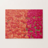 Oranje en roze tulpen legpuzzel (Horizontaal)