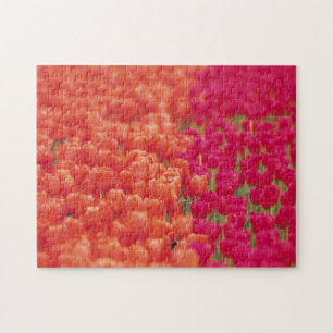 Oranje en roze tulpen legpuzzel