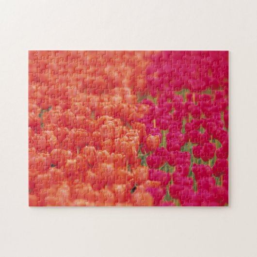Oranje en roze tulpen legpuzzel (Horizontaal)