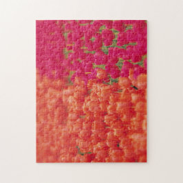 Oranje en roze tulpen legpuzzel