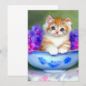 Oranje en White Kitten Illustratie Aankondiging (Voorkant / Achterkant)