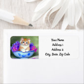  Oranje en White Kitten Illustratie Etiket (Insitu)