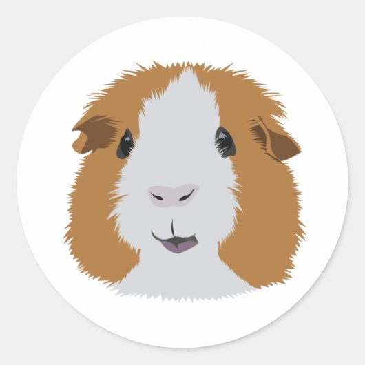 Oranje en wit cavia's ronde sticker (Voorkant)
