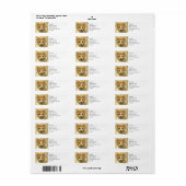 Oranje en wit Kat | ABSTRACT | WATERVERF Etiket (Full Sheet)